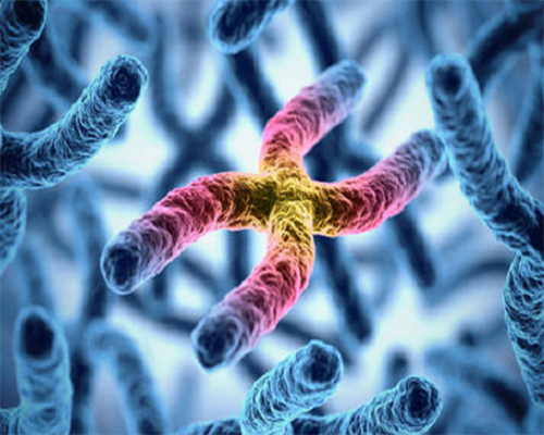 西安有代孕套餐吗,2026北京协和医院供卵试管多少钱？附北京供卵试管费用一览