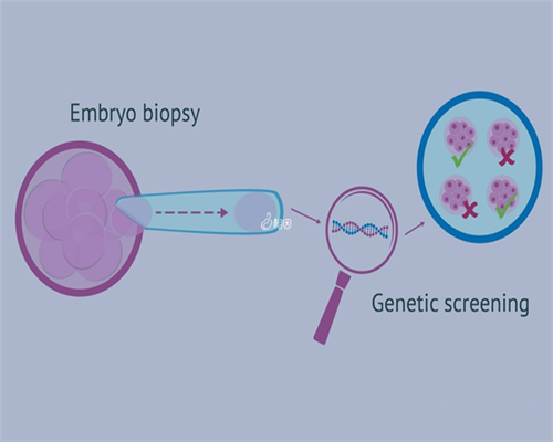 西安助孕指南：泰国试管婴儿详细流程及移植后注意事项