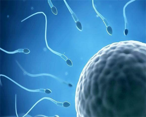 西安助孕网：探索试管婴儿技术与成功关键