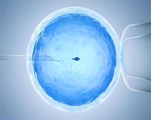 西安试管助孕：哈尔滨试管婴儿医院助您实现双胞胎梦想