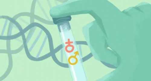 西安三代试管婴儿：了解不同因素如何影响助孕成功率