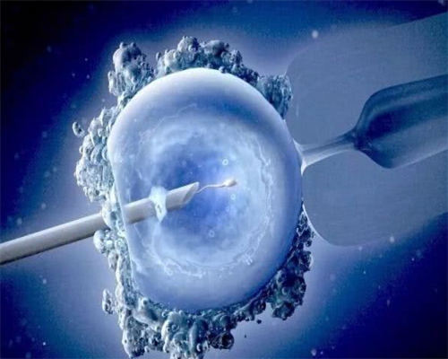 家长们为何会对孩子的生长激素激发试验感到后悔？