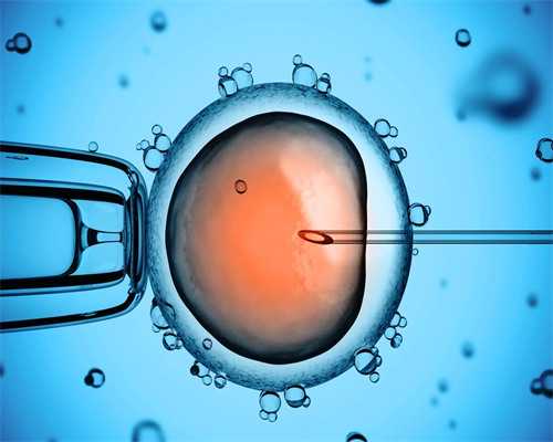 女性身体条件与月经周期如何影响试管助孕成功率？