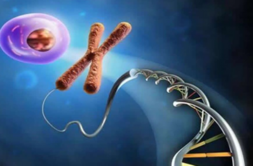 西安哪有医院供卵,沈阳第三代试管婴儿费用多少钱?_西安正规供卵医院地址-生