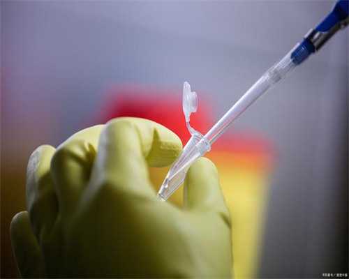 助孕备孕食物指南：均衡营养与健康怀孕