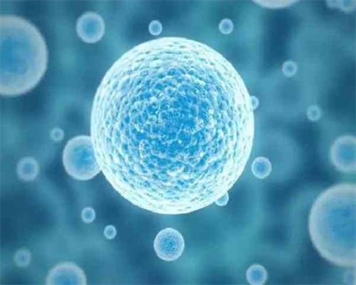 导致试管婴儿成功率低的三大疾病