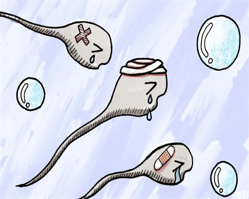 关于试管婴儿生育男孩的探讨与助孕途径