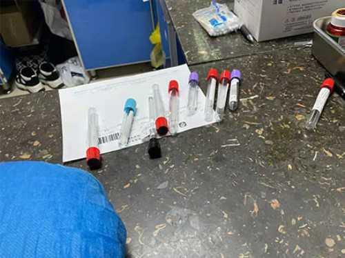 西安想找代怀公司,美国试管婴儿最普遍的五大问题，99%的人都会遇到！_西安做