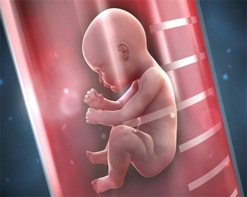 石家庄哪里有靠谱的供卵试管婴儿医院？代孕费用与流程解析